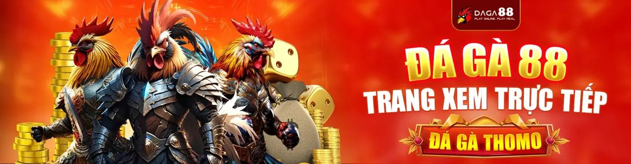 Đá gà kịch tính tại 11win chính thức